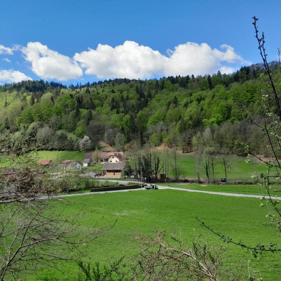 Nice Apartment Near By Capital Of Slovenia Lublaň Exteriér fotografie